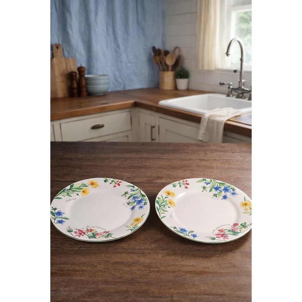 Vintage Majesticware Geranium Dessert Plates Set of 2 Sue Zipkin 8 Inch